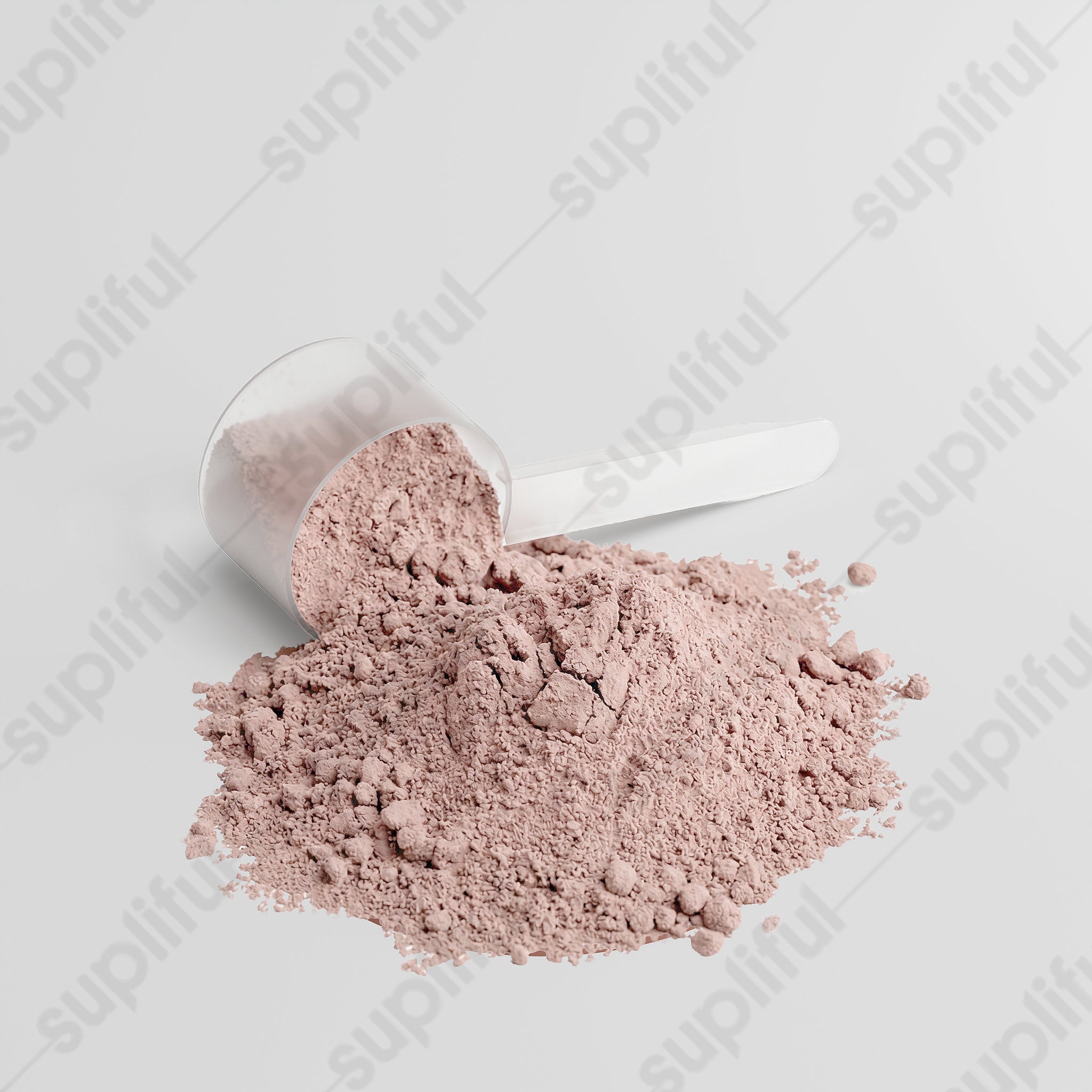 Plant Protein (Vanilla)