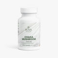 Chaga Mushroom